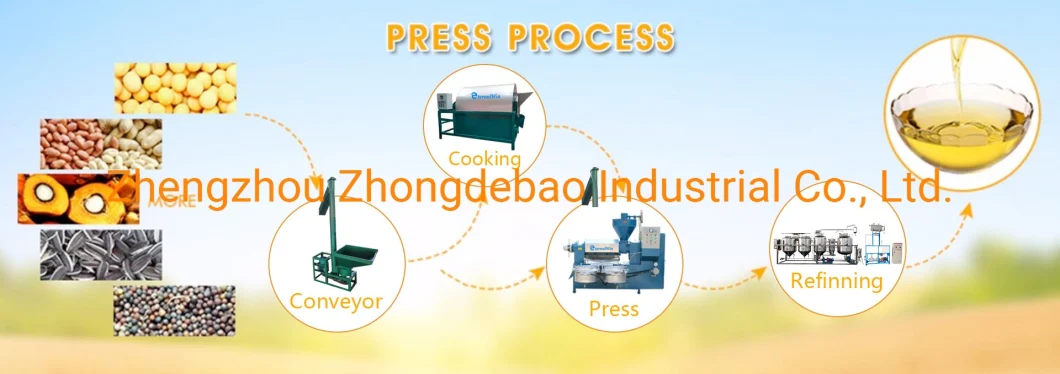 Full Automatic Small Moringa Nut Seed Oil Press Oil Expeller Equipment Rapeseed Cold Oil Processing Plant Oil Processing Line for Sale