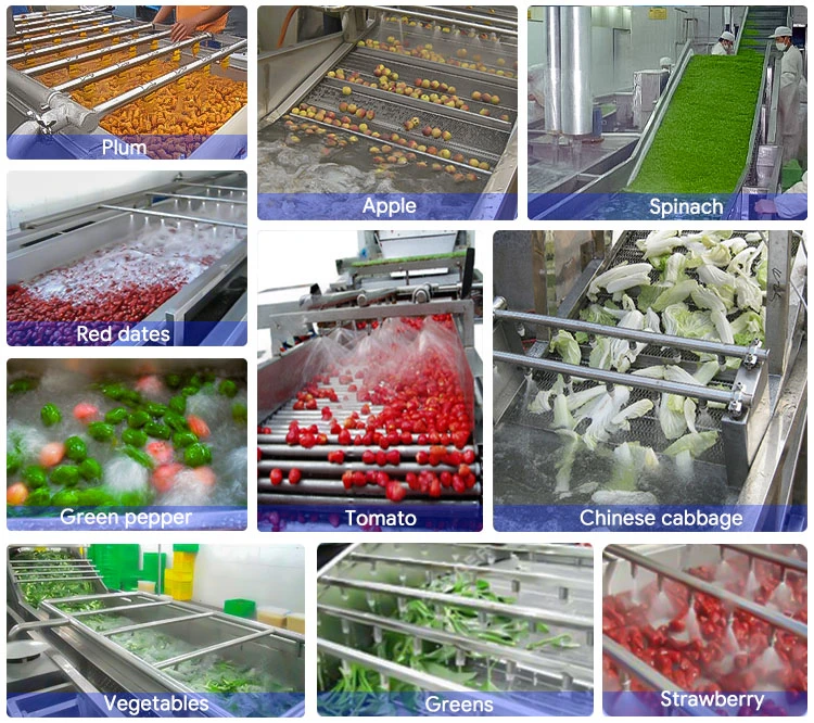 Factory Price Strawberry Mango Bubble Cleaning Drying Line