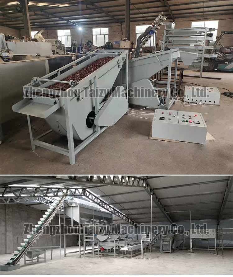 Walnut Crushing Machine Almonds Shelling Machine Cashew Macadamia Nut Processing Machine