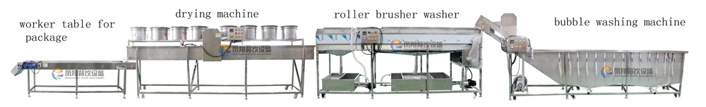 Automatic Carrot Radish Taro Garlic Cleaning Washing Drying Packing Line